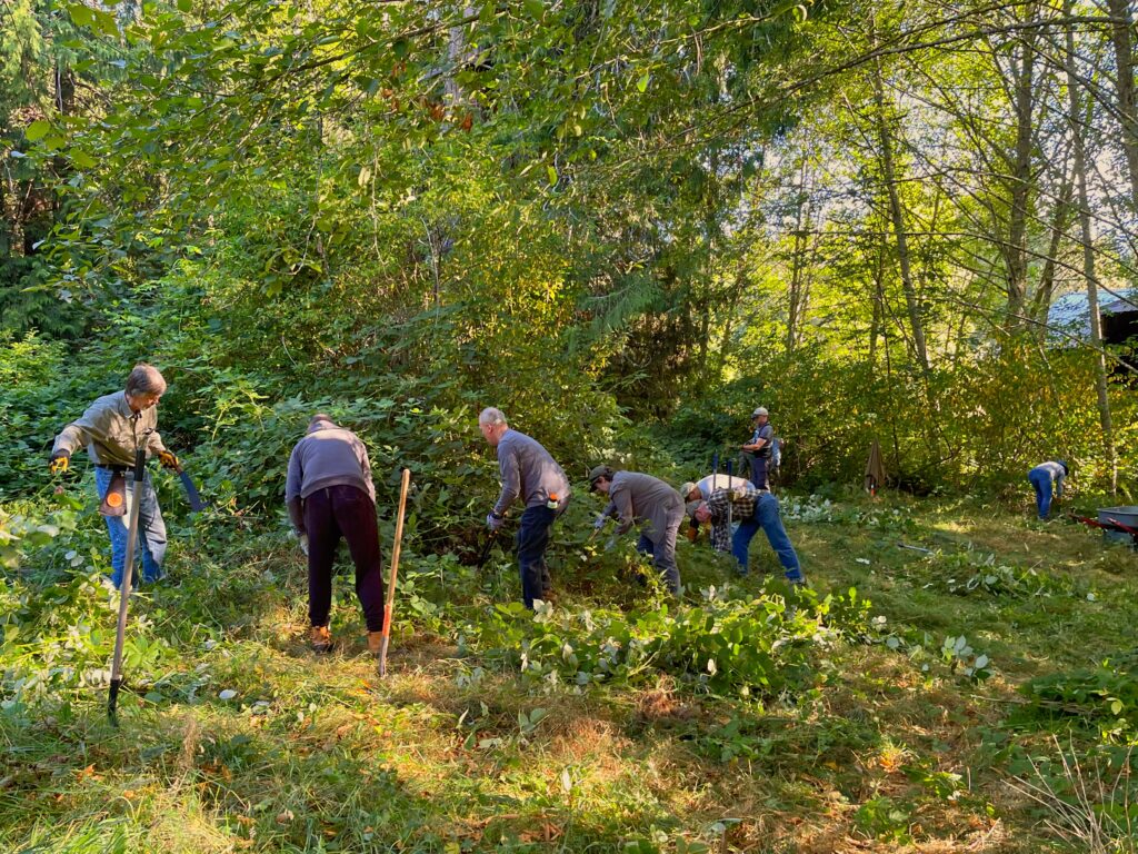 Quitslund Work Bainbridge Island Land Trust