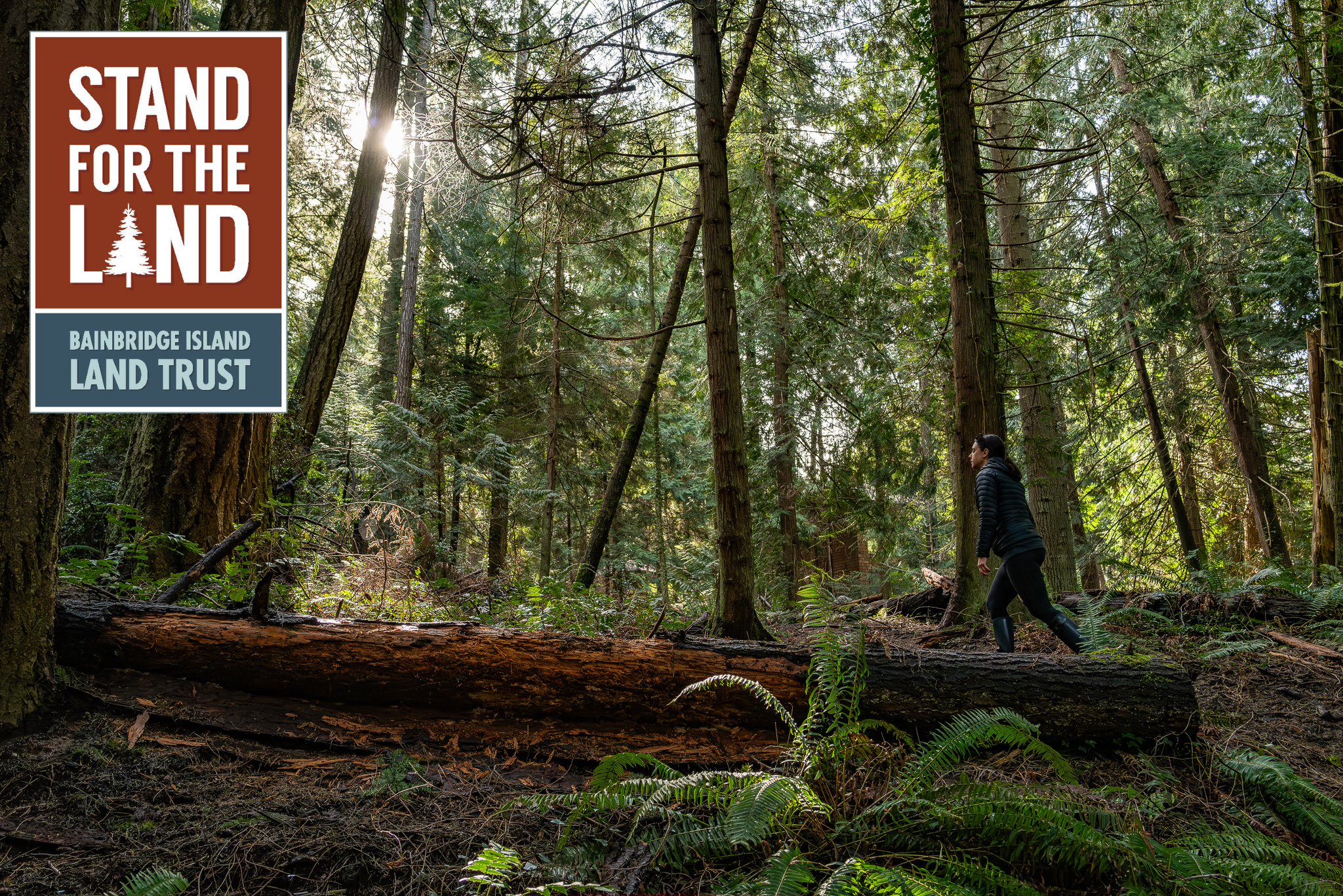 Photo of person walking in forest with the Stand for the Land logo overlaid