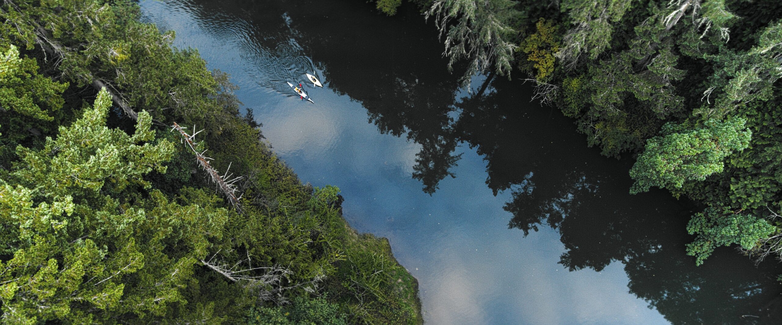 Kayakers in the Little Manzanita Bay Estuary