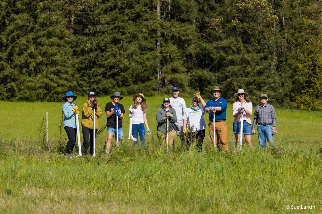 Volunteers at a Land Trust work party: 10 people stand in a meadow holding weed wrenches and work gloves.